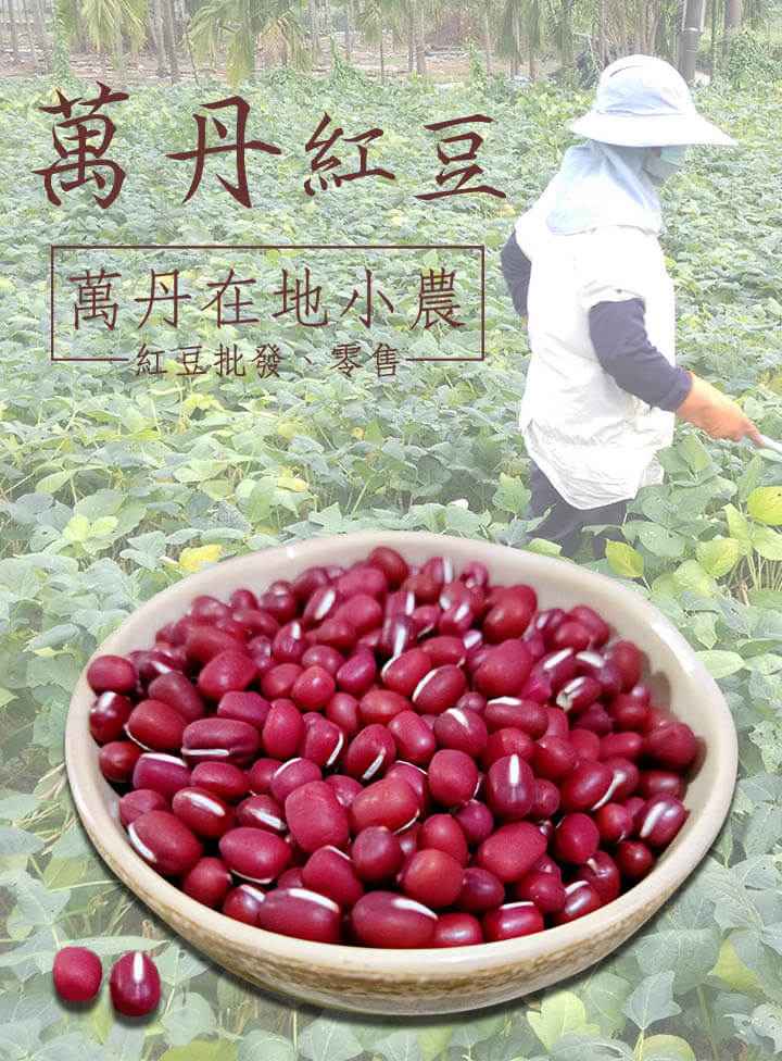 萬丹紅豆批發 萬丹紅豆團購或直銷的好選擇 萬丹紅豆營業用批發